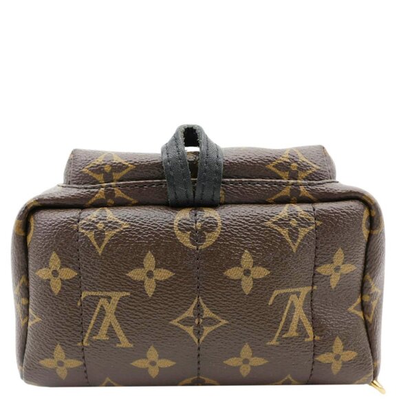 Louis Vuitton Palm Spring Mini Monogram Canvas Backpack Brown - Picture 11 of 15